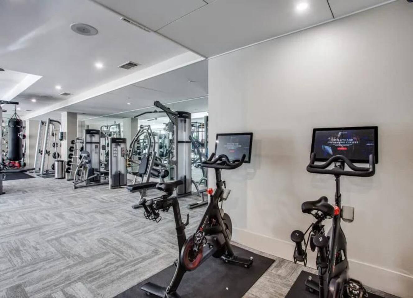 2VD0jLaHBezd08hJmgwtaSZBwA0ksJH3CtnP7oKT